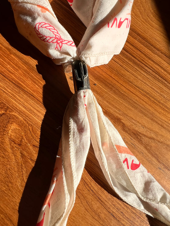 Richard Schmidt Bandana Slide